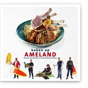 Ameland_cover